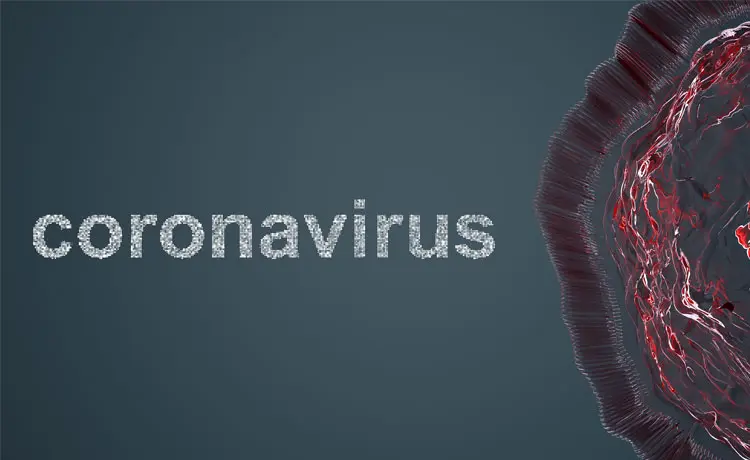 Coronavirus Prevention In Your Community
