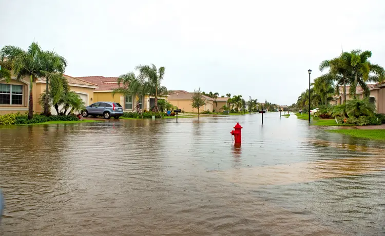 Flood Recovery 101: What You Need to Know