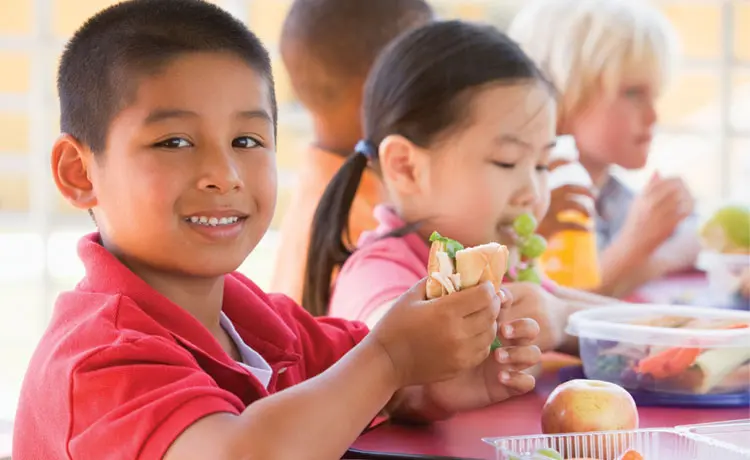 School Lunch Tips for Growing Healthy Minds and Bodies