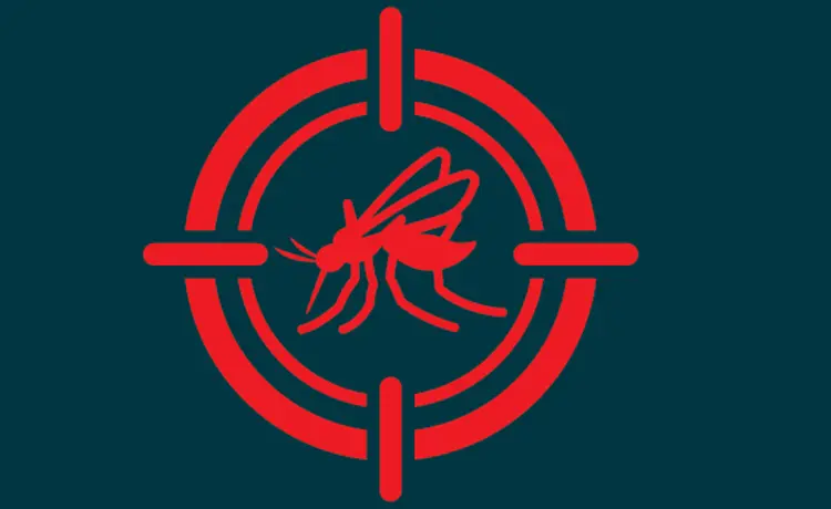 Prevent Mosquito-Borne Illness With These Safety Tips