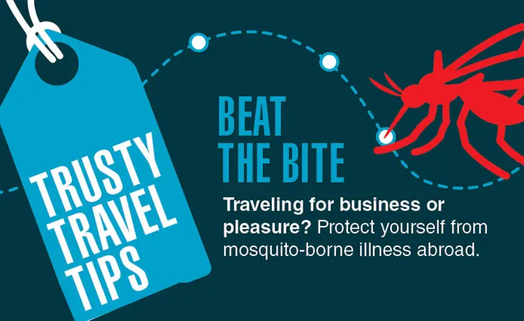 Safe Travels: Avoid Mosquito-borne Illness Abroad; Mosquito Bite Prevention